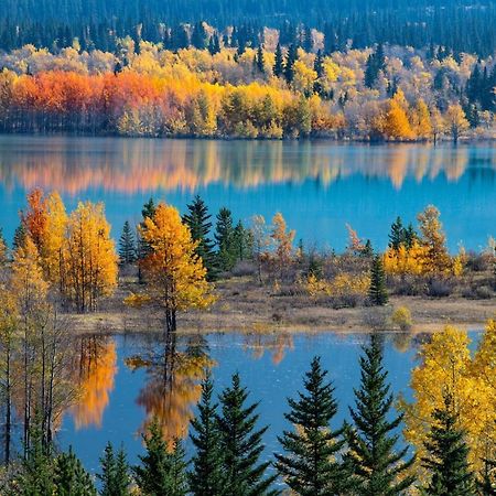 Sunny Tranquil Woods Turret In Falcon Crest Lodge Canmore Luaran gambar