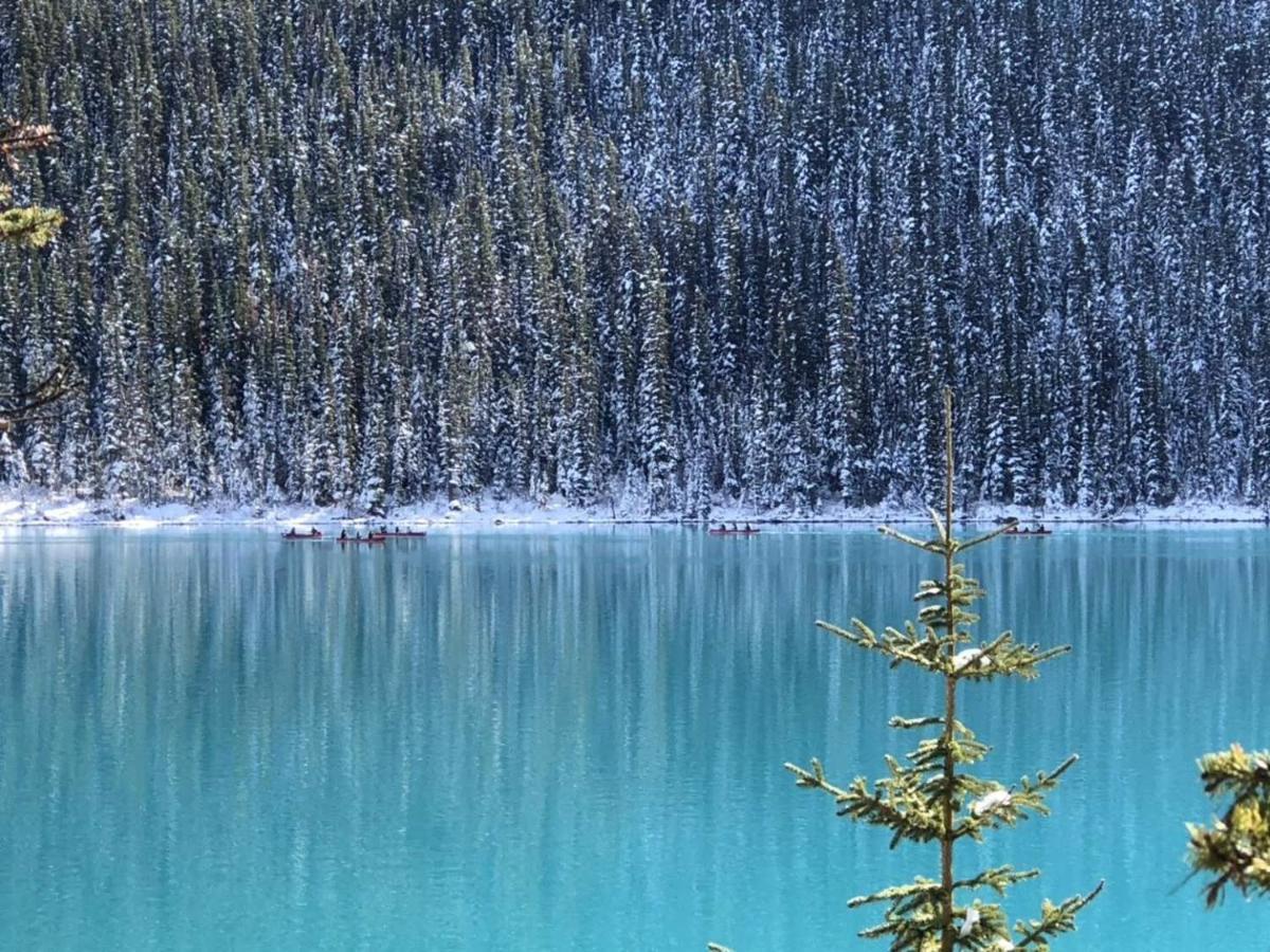 Sunny Tranquil Woods Turret In Falcon Crest Lodge Canmore Luaran gambar