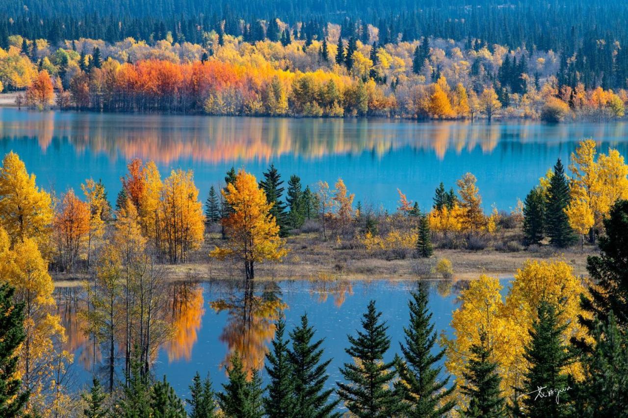 Sunny Tranquil Woods Turret In Falcon Crest Lodge Canmore Luaran gambar